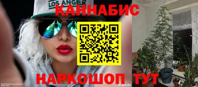 хмурый Тара